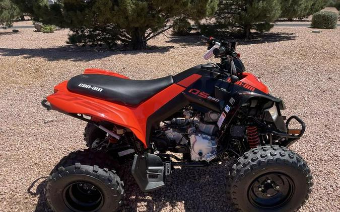 2026 Can-Am® DS 250