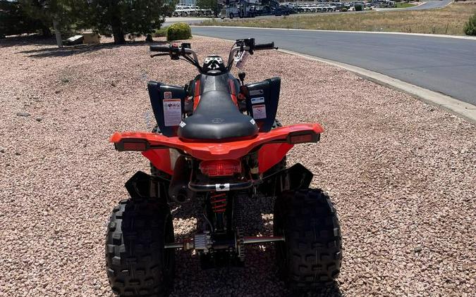 2026 Can-Am® DS 250