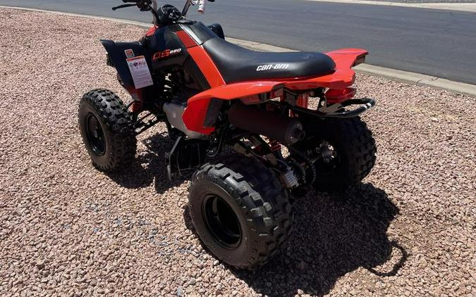 2026 Can-Am® DS 250
