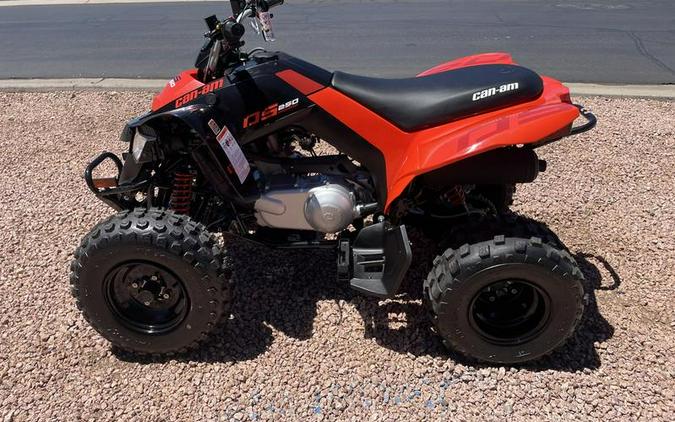 2026 Can-Am® DS 250