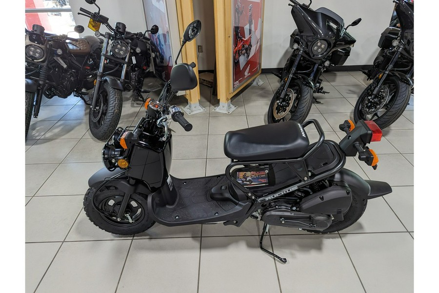 2024 Honda Ruckus