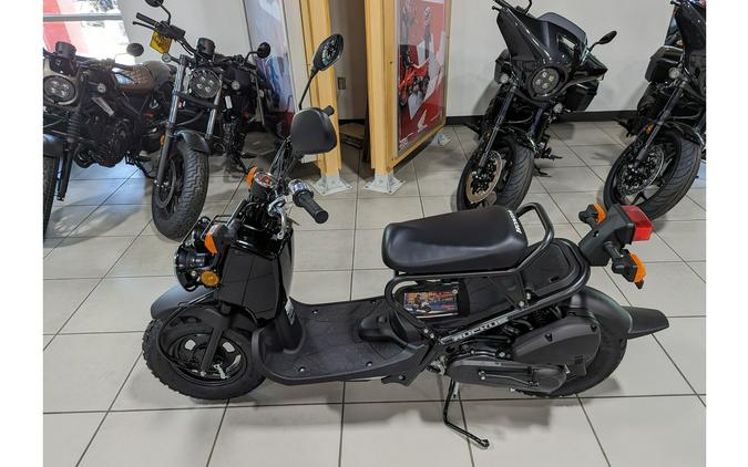 2024 Honda Ruckus