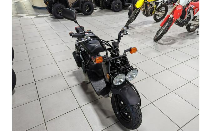 2024 Honda Ruckus