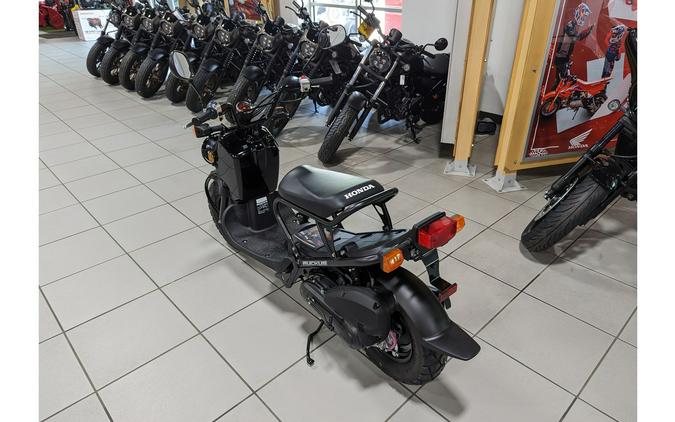 2024 Honda Ruckus