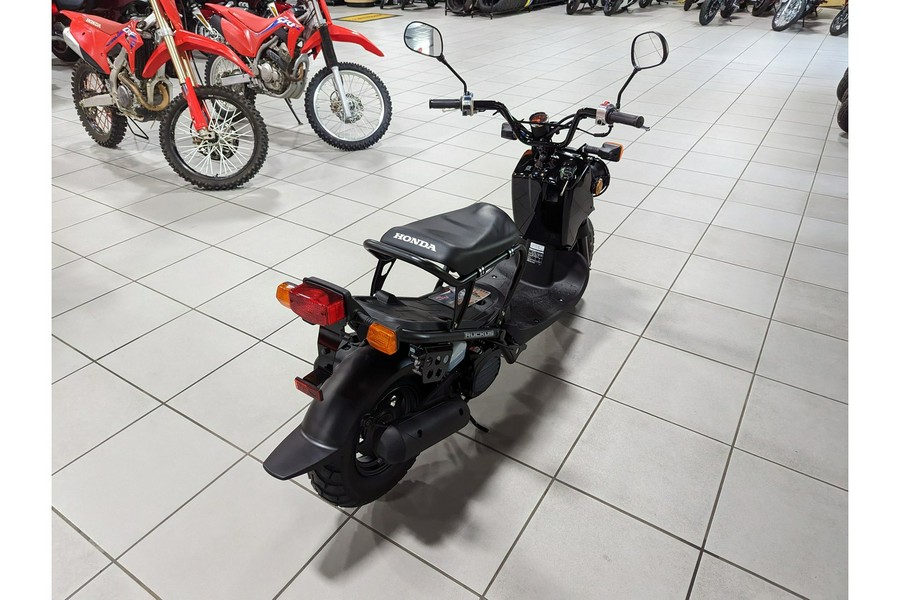 2024 Honda Ruckus