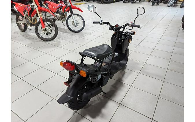 2024 Honda Ruckus