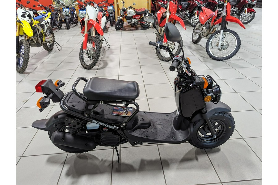 2024 Honda Ruckus