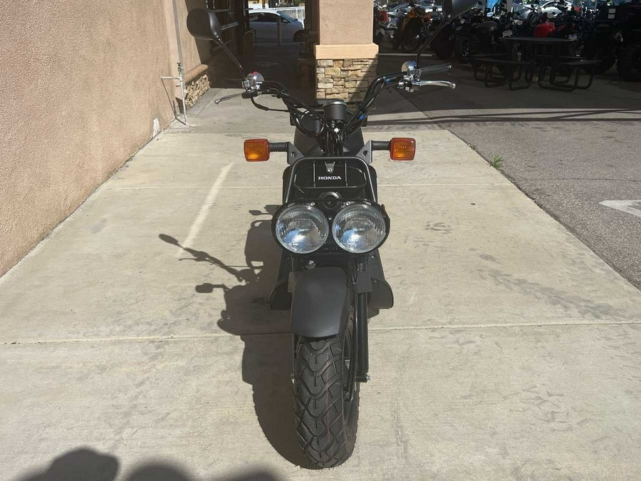 2024 Honda Ruckus