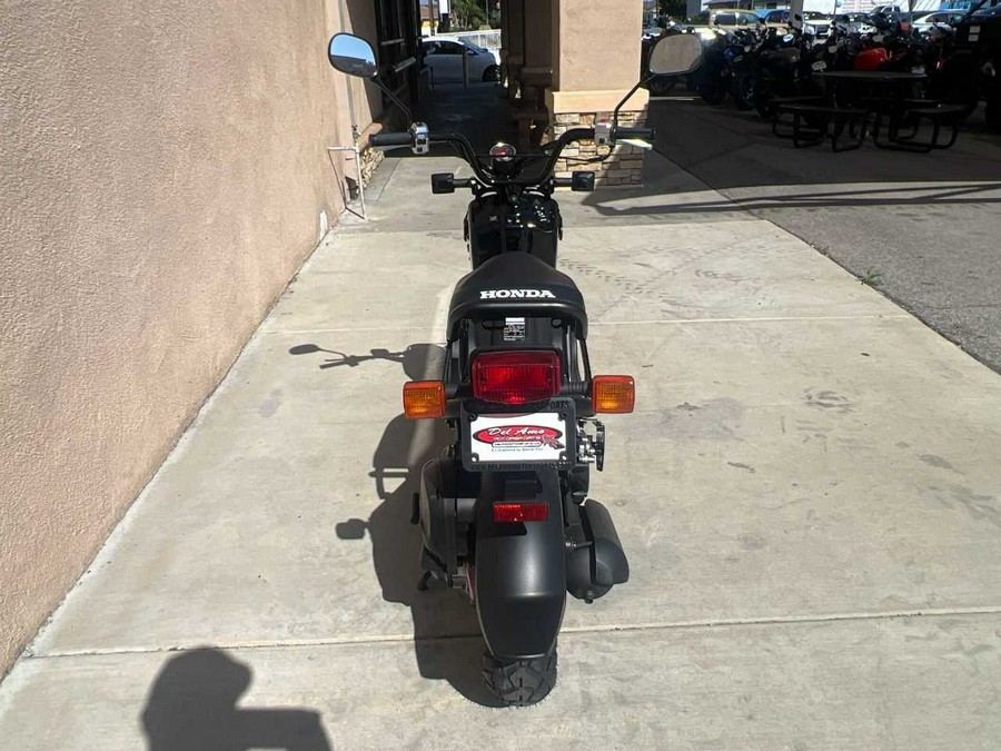 2024 Honda Ruckus