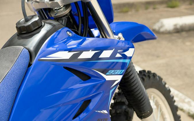 2026 Yamaha TT-R 230