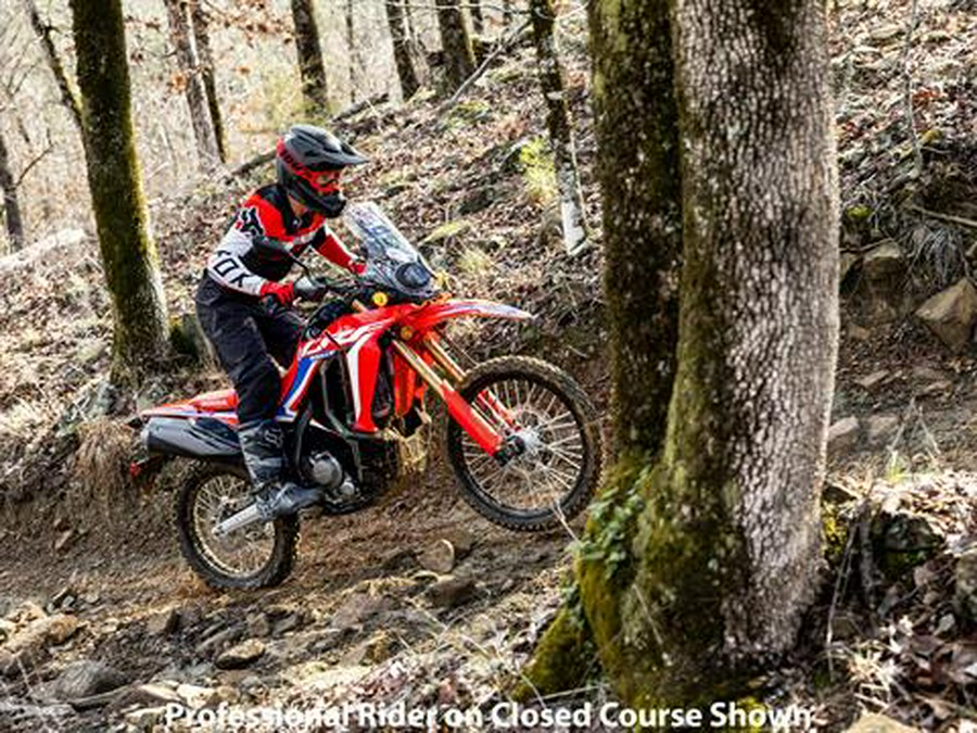 2023 Honda CRF300L Rally