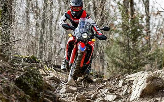 2023 Honda CRF300L Rally