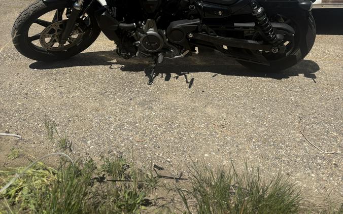 2022 Harley-Davidson® Nightster - UO2675