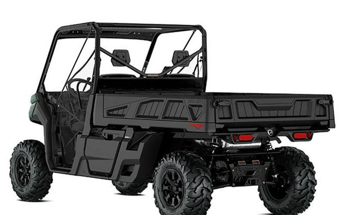 2024 Can-Am Defender Pro DPS HD10