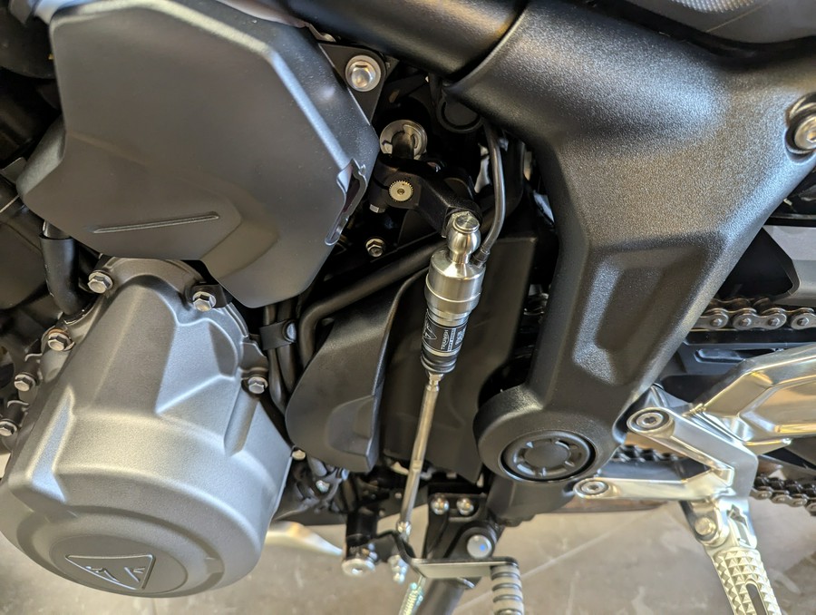 2026 Triumph Trident 660 - Triple Tribute