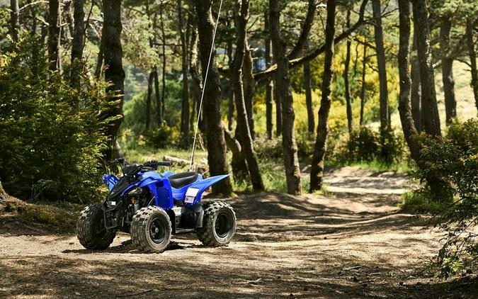 2025 Yamaha YFZ50