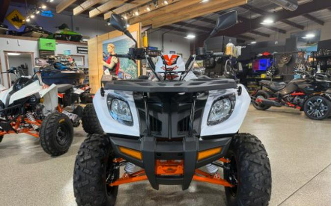 2026 Kayo Bull 300 EFI