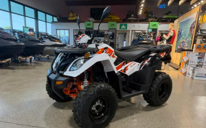 2026 Kayo Bull 300 EFI