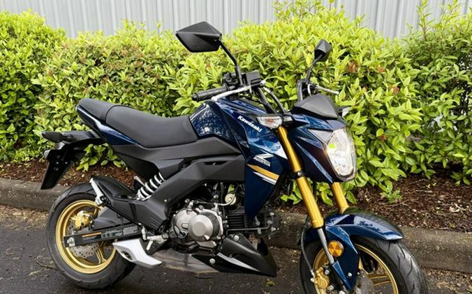 2023 Kawasaki Z125 PRO