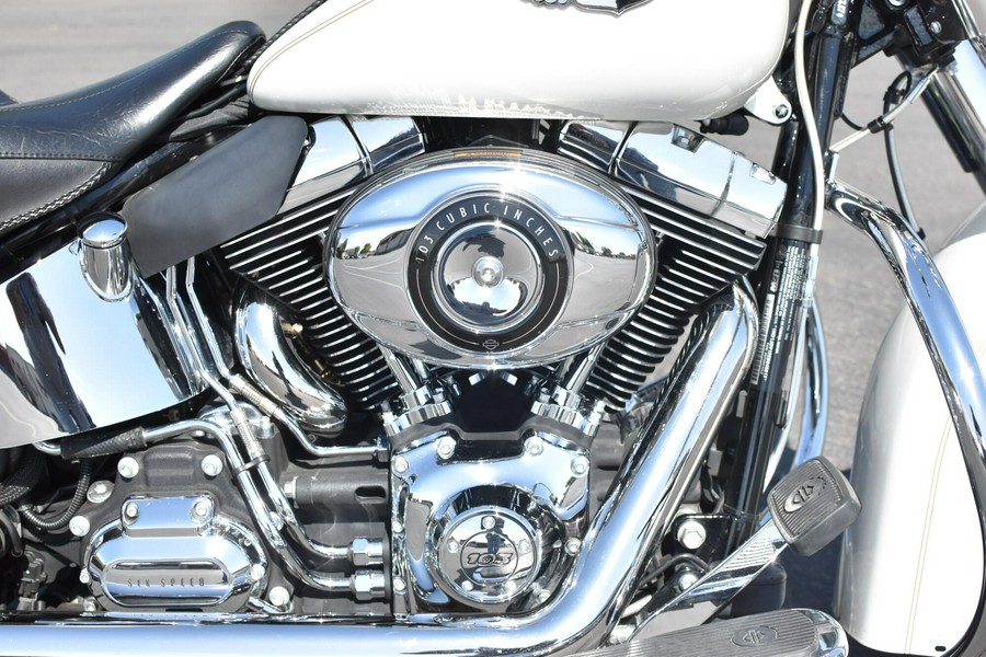 2014 Harley-Davidson Softail Deluxe Morocco Gold FLSTN 103