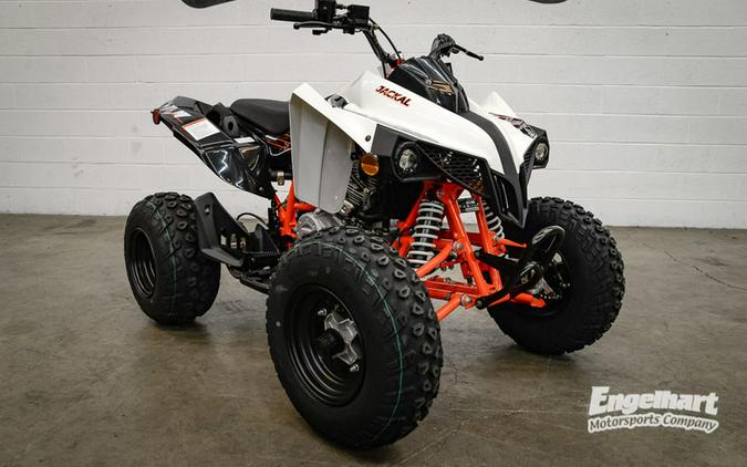 2021 Kayo Jackal 200