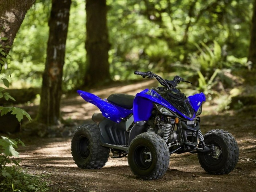 2024 Yamaha Raptor 110