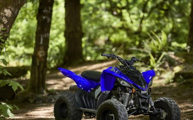 2024 Yamaha Raptor 110