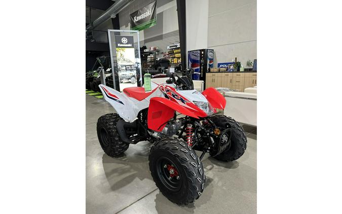 2024 Honda TRX 250X