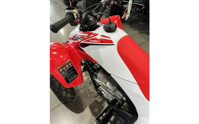 2024 Honda TRX 250X