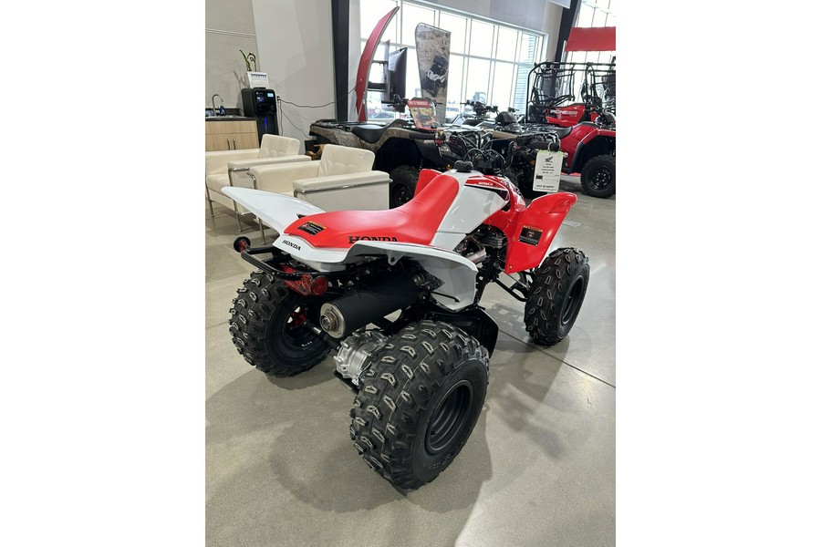 2024 Honda TRX 250X