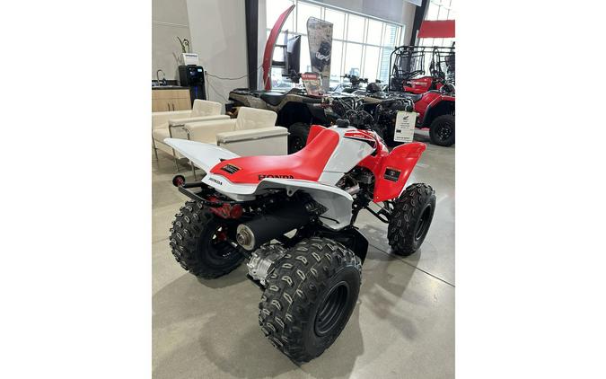 2024 Honda TRX 250X