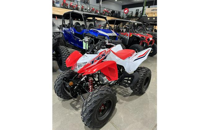 2024 Honda TRX 250X