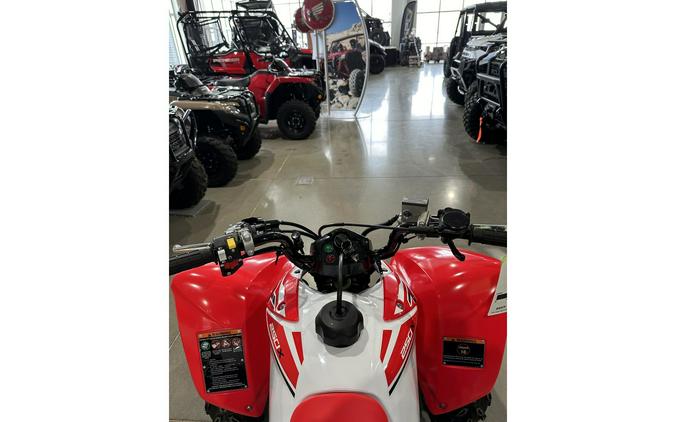 2024 Honda TRX 250X