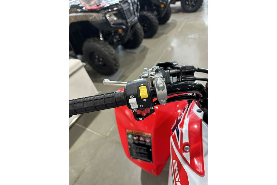 2024 Honda TRX 250X