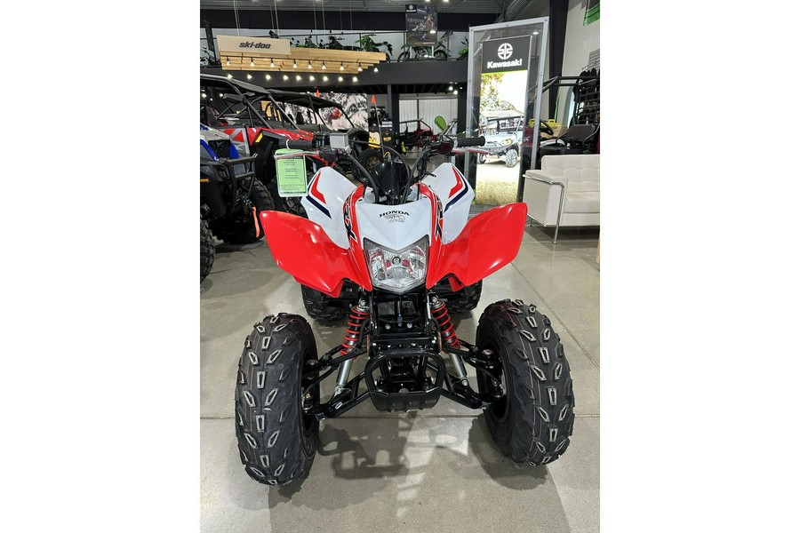 2024 Honda TRX 250X