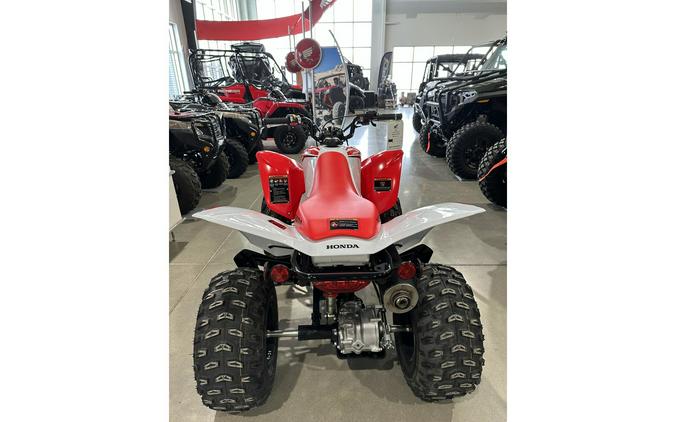 2024 Honda TRX 250X