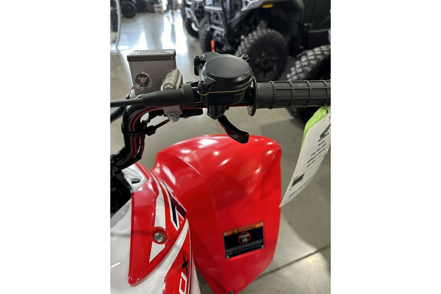 2024 Honda TRX 250X