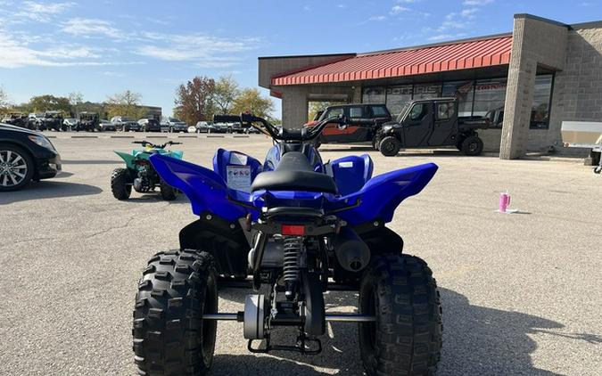 2025 Yamaha Raptor 110