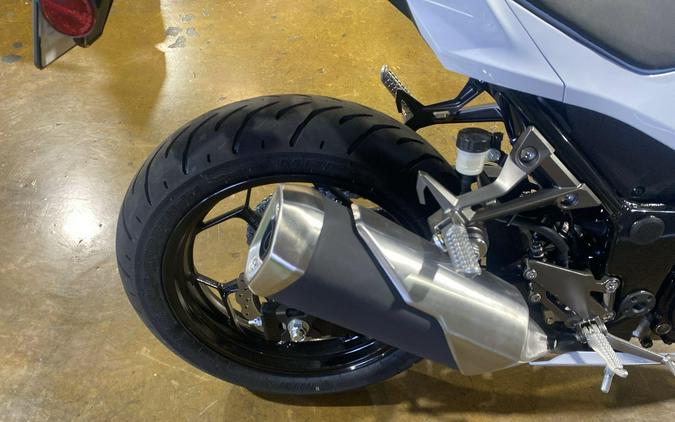 2026 Kawasaki NINJA 300 ABS