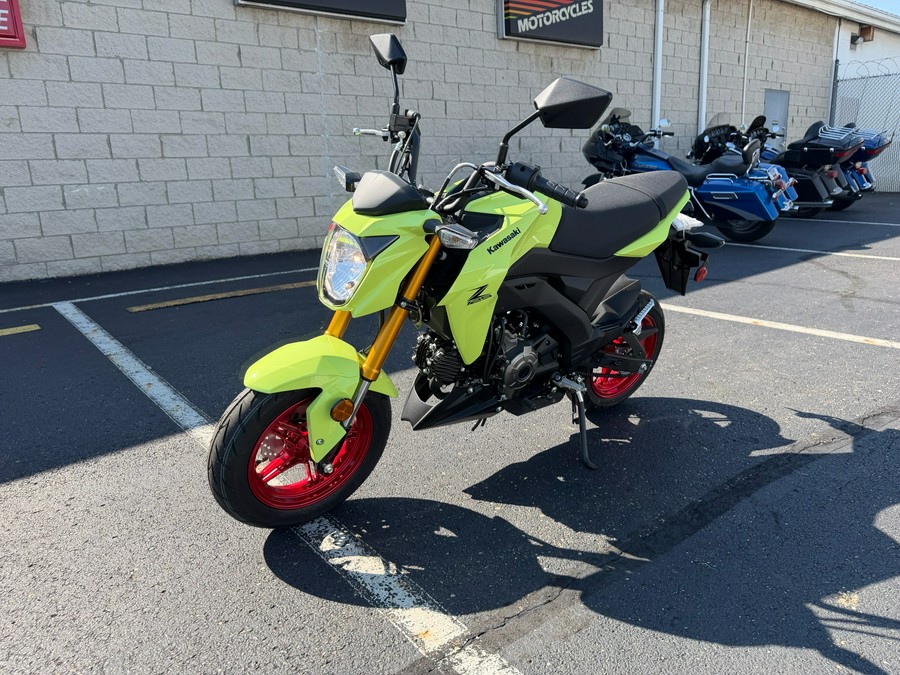 2026 Kawasaki Z125 Pro