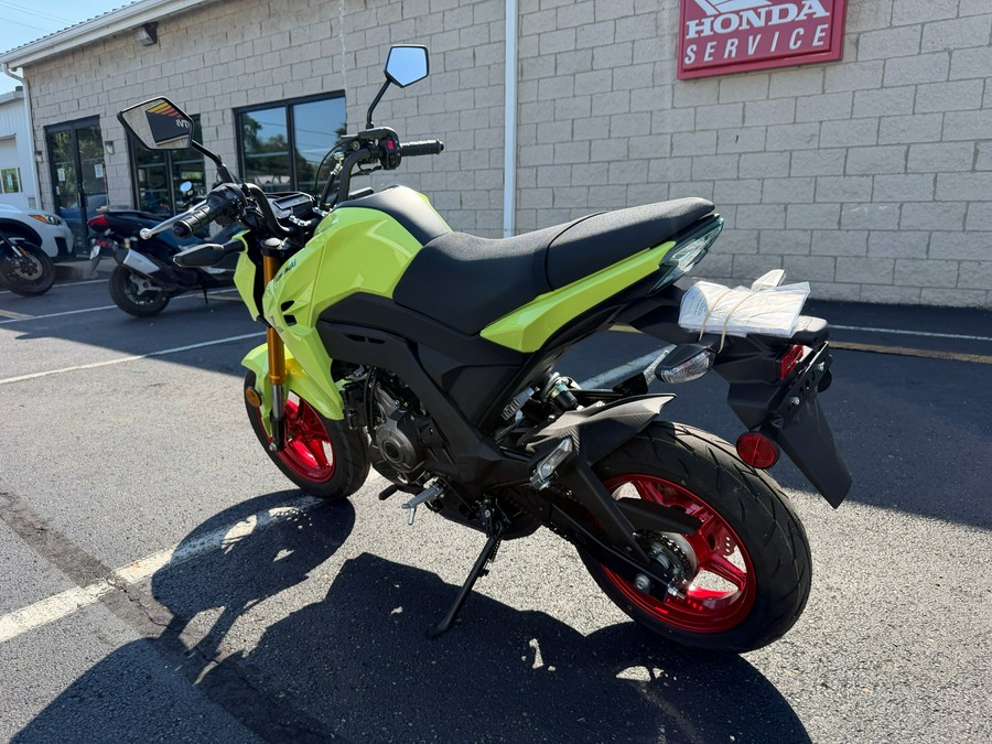 2026 Kawasaki Z125 Pro