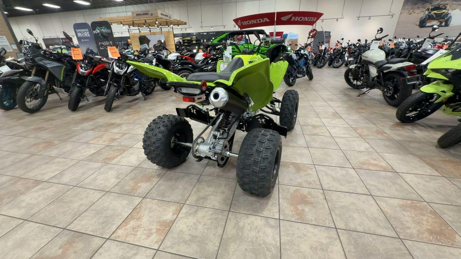 2026 Yamaha RAPTOR 110
