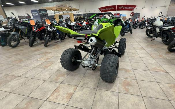 2026 Yamaha RAPTOR 110