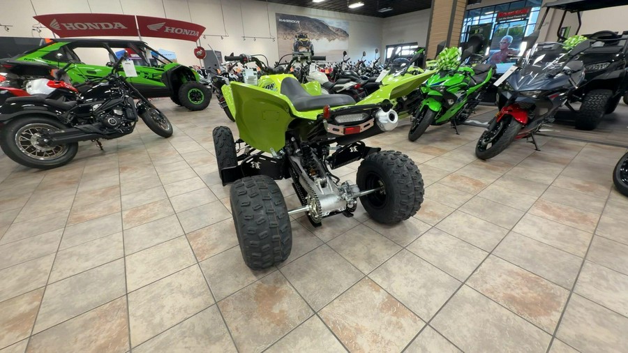 2026 Yamaha RAPTOR 110
