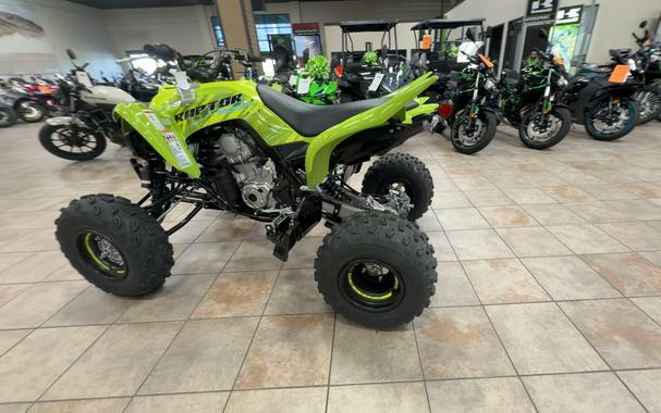 2026 Yamaha RAPTOR 110