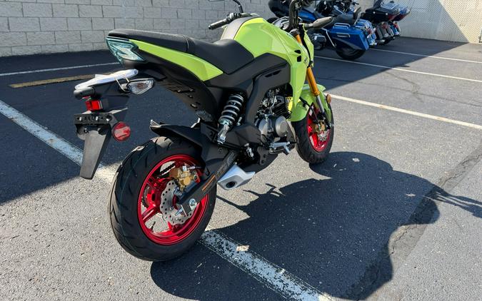 2026 Kawasaki Z125 Pro