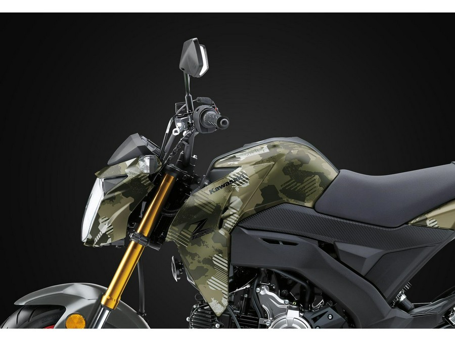 2026 Kawasaki Z125 Pro