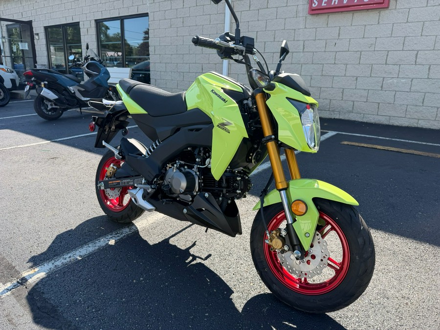 2026 Kawasaki Z125 Pro