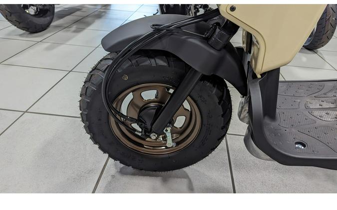 2024 Honda RUCKUS