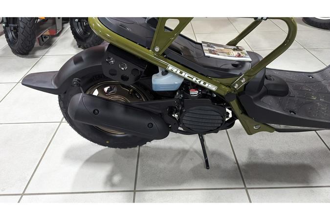 2024 Honda RUCKUS